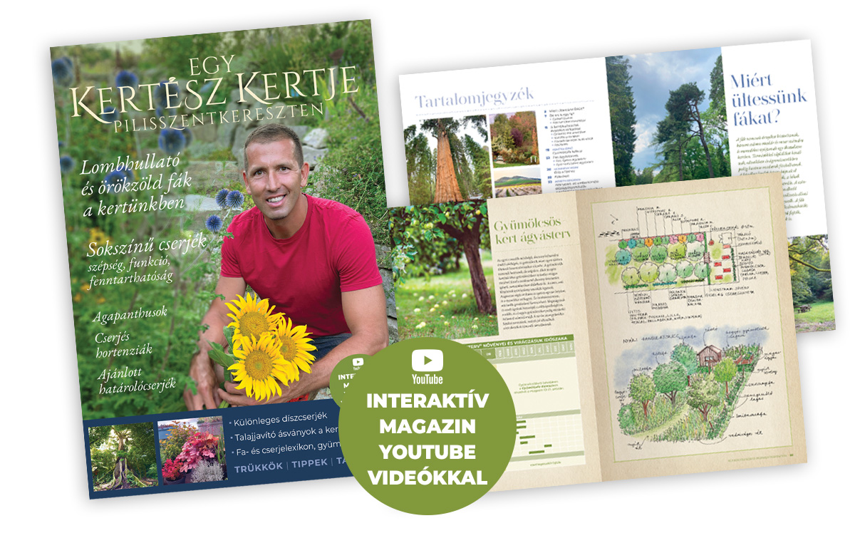 Egy Kertész Kertje Pilisszentkereszten Magazin 2025.