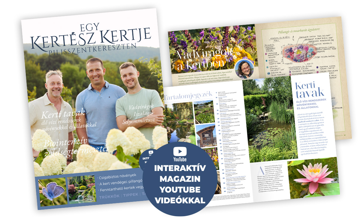 Egy Kertész Kertje Pilisszentkereszten Magazin 2026.